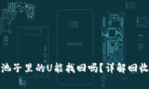 tpwallet池子里的U能找回吗？详解回收与安全性