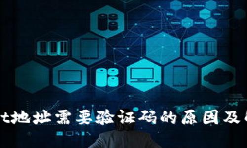 TPWallet地址需要验证码的原因及解决方案