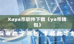 如何参与国内数字钱包，