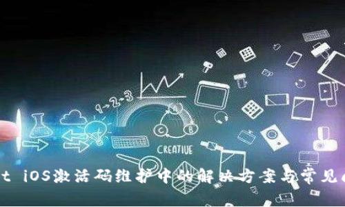 TPWallet iOS激活码维护中的解决方案与常见问题解析