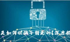 TPWallet的币是如何被骗子转