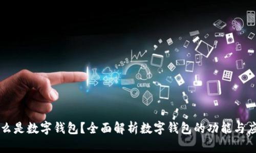 什么是数字钱包？全面解析数字钱包的功能与应用