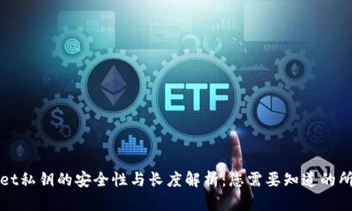 TPWallet私钥的安全性与长度解析：您需要知道的所有信息