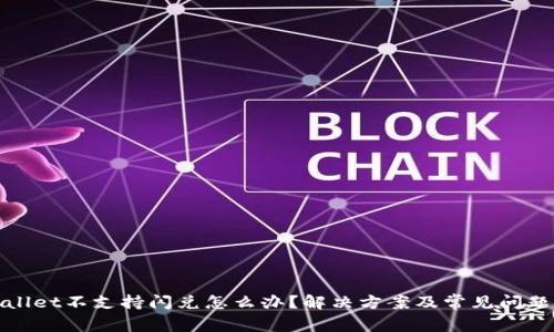 tpwallet不支持闪兑怎么办？解决方案及常见问题解析