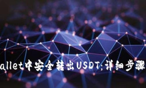 如何在tpwallet中安全转出USDT：详细步骤和注意事项