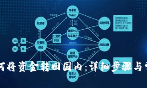 TPWallet如何将资金转回国内：详细步骤与常见问题解答