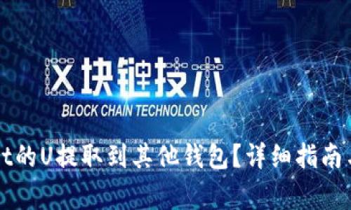 如何将TPWallet的U提取到其他钱包？详细指南与常见问题解答