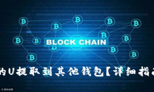 如何将TPWallet的U提取到其他钱包？详细指南与常见问题解答