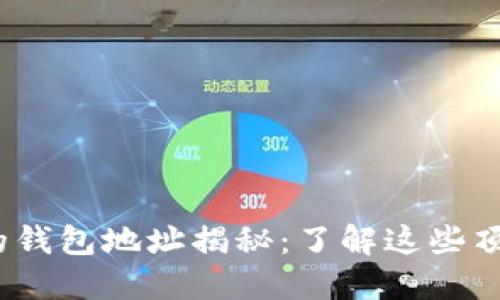 2023年数字货币最多的钱包地址揭秘：了解这些顶级钱包的运作和安全性