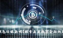数字钱包还放款吗？探索