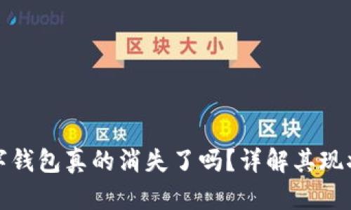 建行数字钱包真的消失了吗？详解其现状与未来