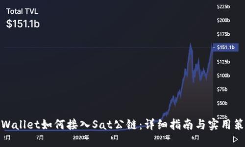 TPWallet如何接入Sat公链：详细指南与实用策略