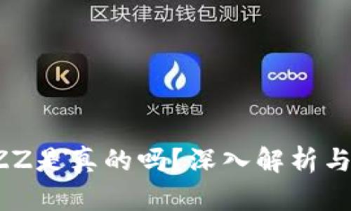 tpwallet的BZZ是真的吗？深入解析与投资风险评估