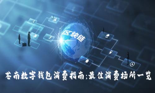 苍南数字钱包消费指南：最佳消费场所一览