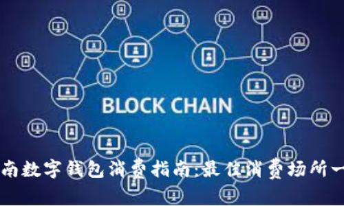 苍南数字钱包消费指南：最佳消费场所一览