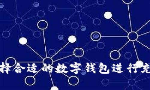 如何选择合适的数字钱包进行充币操作