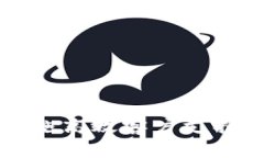 tpwallet公司实施高效客户支