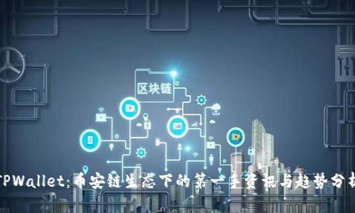 TPWallet：币安链生态下的第一手资讯与趋势分析