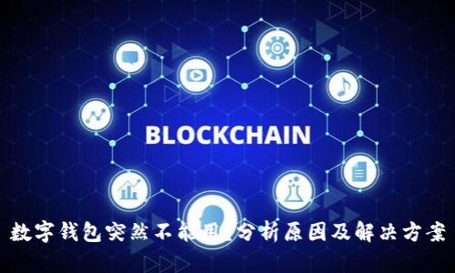 数字钱包突然不能用？分析原因及解决方案