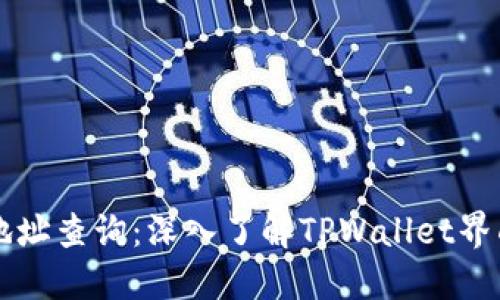 区块链地址查询：深入了解TPWallet界面与功能