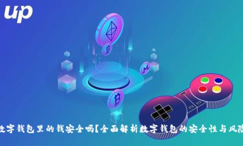 数字钱包里的钱安全吗？全面解析数字钱包的安全性与风险