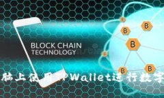 如何在电脑上使用TPWalle