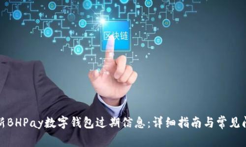 如何更新BHPay数字钱包过期信息：详细指南与常见问题解答