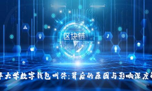 清华大学数字钱包叫停：背后的原因与影响深度解析