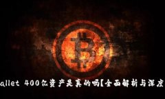 TPWallet 400亿资产是真的吗