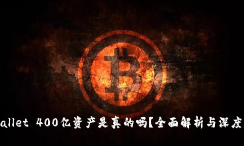 TPWallet 400亿资产是真的吗？全面解析与深度考察