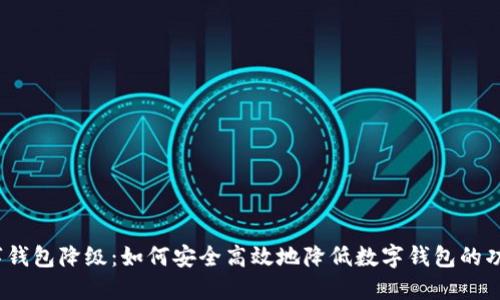 数字钱包降级：如何安全高效地降低数字钱包的功能？