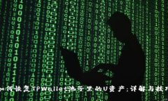 如何恢复TPWallet池子里的
