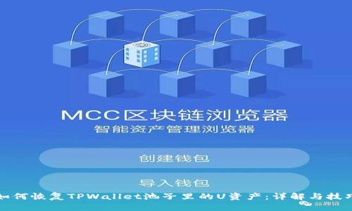 如何恢复TPWallet池子里的U资产：详解与技巧