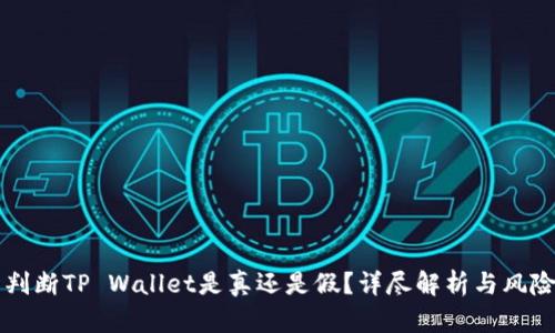 怎么判断TP Wallet是真还是假？详尽解析与风险防范