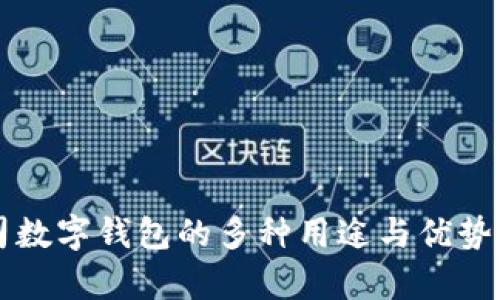 公司数字钱包的多种用途与优势解析