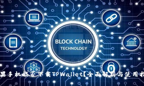 苹果手机能否下载TPWallet？全面解析与使用指南