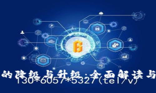数字钱包的降级与升级：全面解读与实用指南