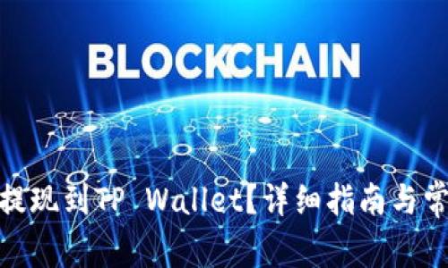 如何将Pi币提现到TP Wallet？详细指南与常见问题解析