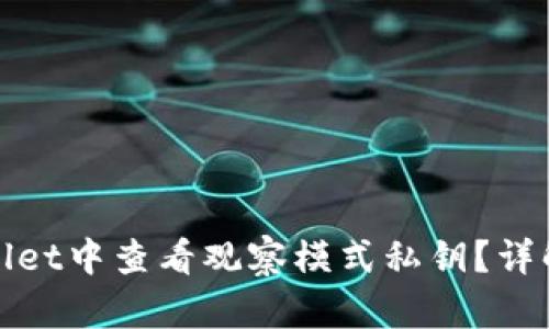 如何在TPWallet中查看观察模式私钥？详解与操作步骤