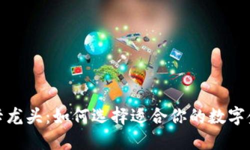 数字钱包硬卡龙头：如何选择适合你的数字金融解决方案