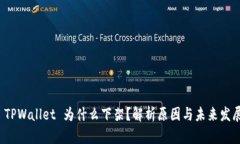  TPWallet 为什么下架？解析