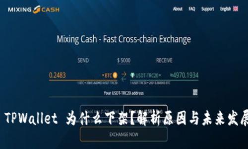  TPWallet 为什么下架？解析原因与未来发展