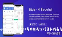 如何将TPWallet中的BSC的US