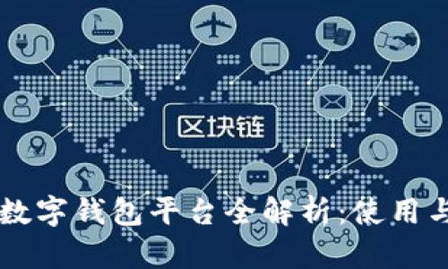 巴西热门数字钱包平台全解析：使用与选择指南
