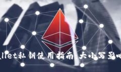 TPWallet私钥使用指南：大小