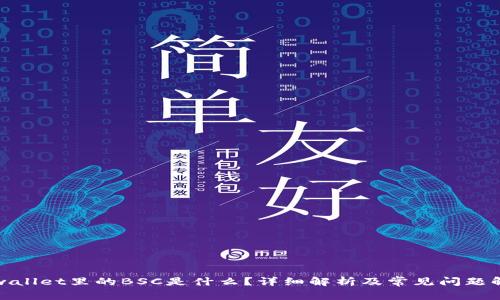 tpwallet里的BSC是什么？详细解析及常见问题解答