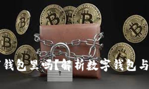 工资能打到数字钱包里吗？解析数字钱包与工资支付的关系