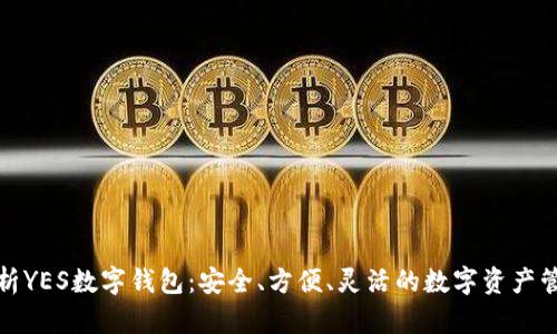 全面解析YES数字钱包：安全、方便、灵活的数字资产管理工具