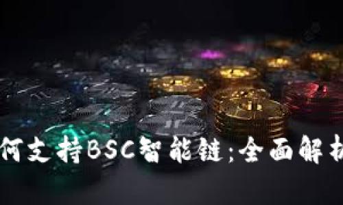 TPWallet如何支持BSC智能链：全面解析与使用指南
