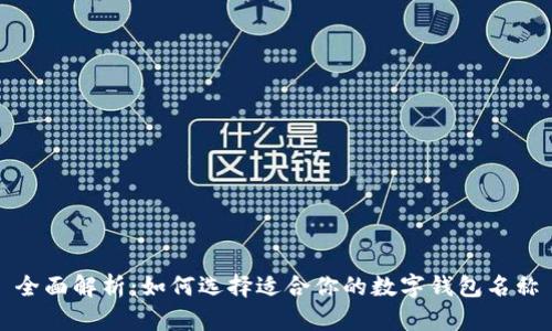 全面解析：如何选择适合你的数字钱包名称